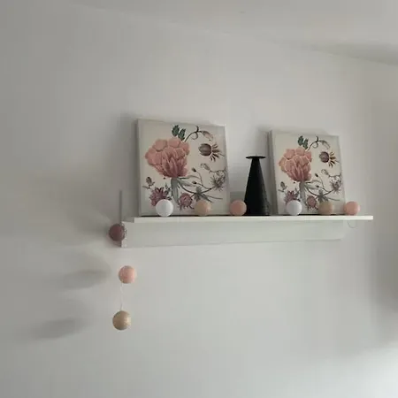 Polanki